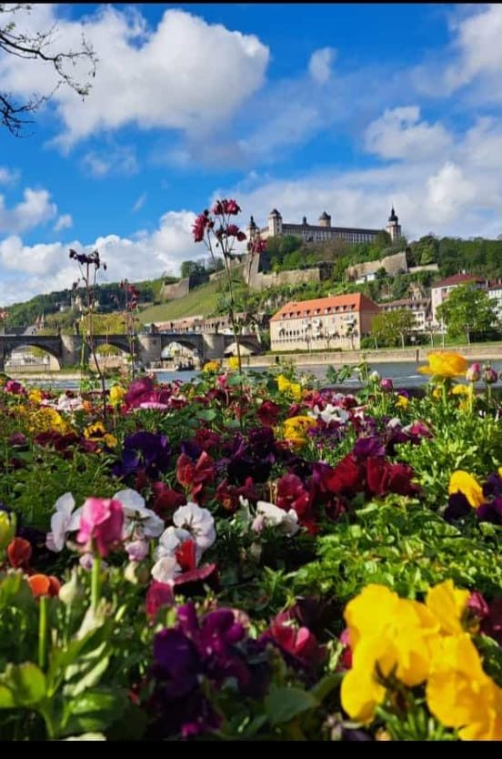 Würzburg Residenz Ferienwohnung in der Nähe